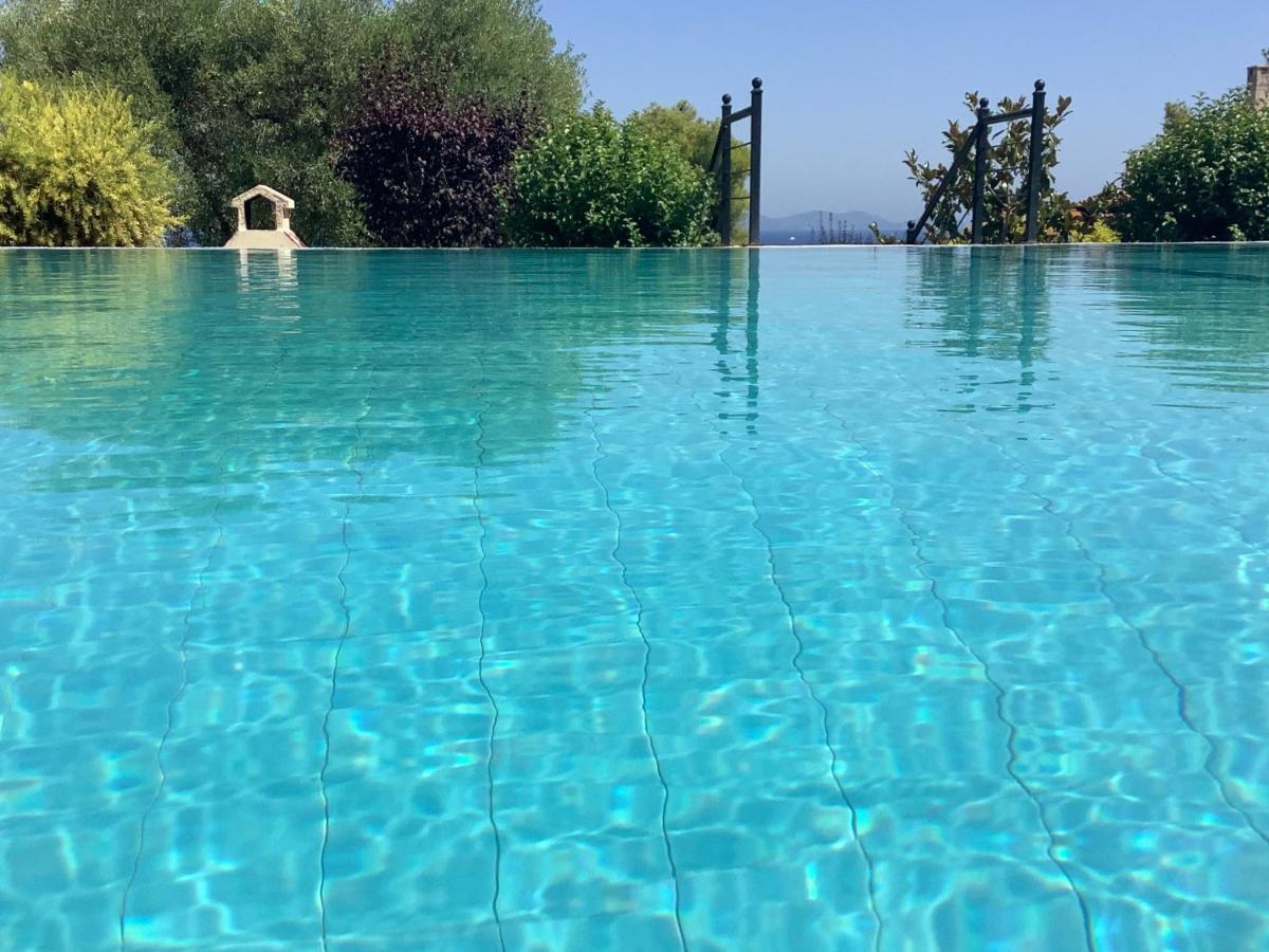 Amazing Villa With Views Sea In Paliúri Kültér fotó