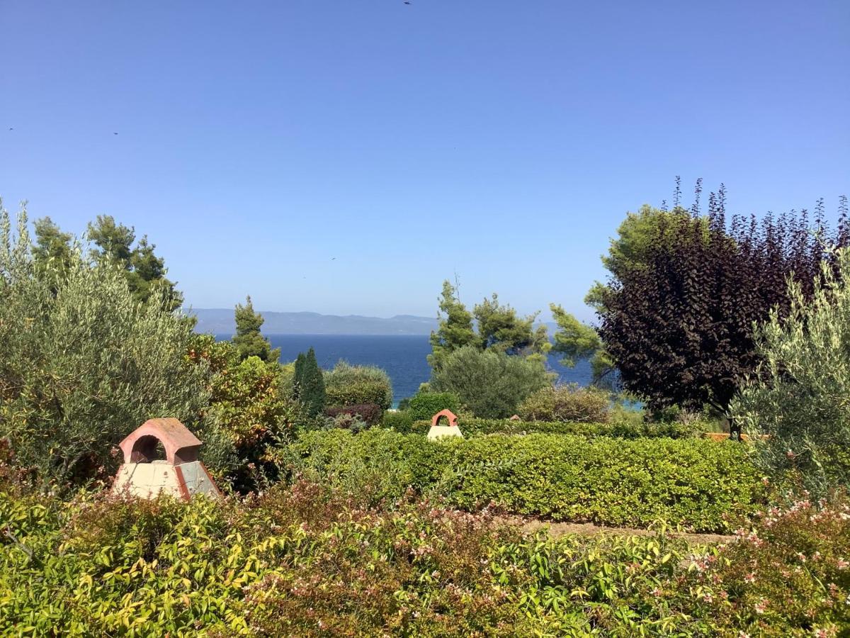 Amazing Villa With Views Sea In Paliúri Kültér fotó