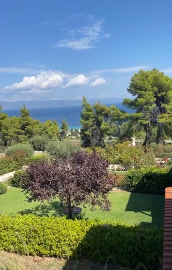 Amazing Villa With Views Sea In Paliúri Kültér fotó