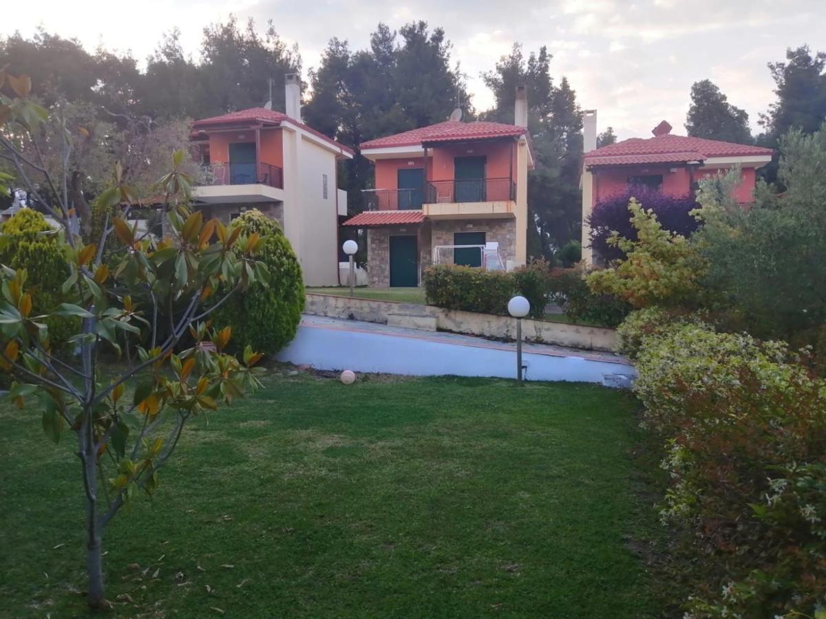 Amazing Villa With Views Sea In Paliúri Kültér fotó